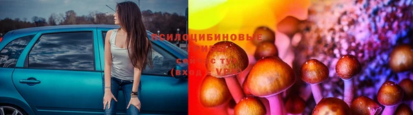 2c-b Алзамай