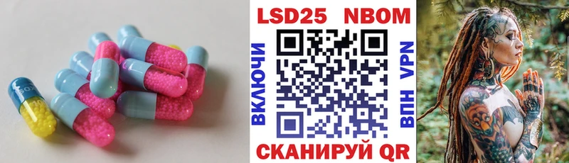 kraken зеркало  Северская  LSD-25 экстази кислота 